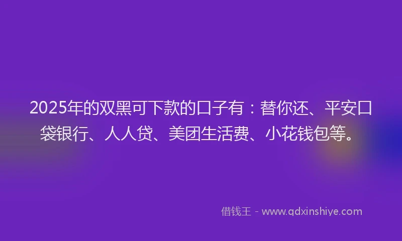 2025年的双黑可下款的口子有：替你还、平安口袋银行、人人贷、美团生活费、小花钱包等。