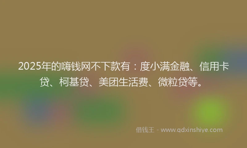 2025年的嗨钱网不下款有：度小满金融、信用卡贷、柯基贷、美团生活费、微粒贷等。