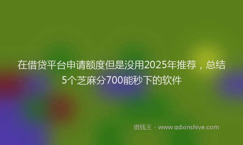 在借贷平台申请额度但是没用2025年推荐，总结5个芝麻分700能秒下的软件