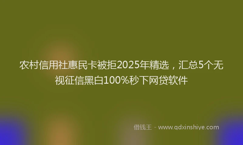 农村信用社惠民卡被拒2025年精选，汇总5个无视征信黑白100%秒下网贷软件