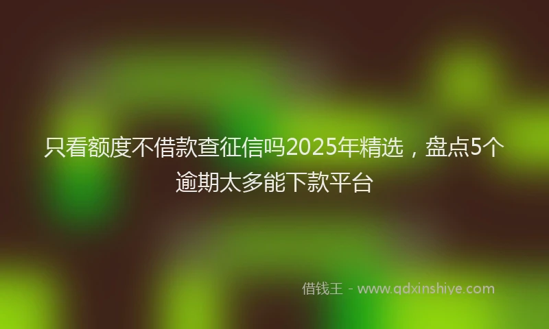 只看额度不借款查征信吗2025年精选，盘点5个逾期太多能下款平台