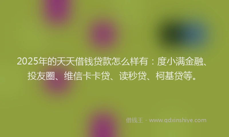 2025年的天天借钱贷款怎么样有：度小满金融、投友圈、维信卡卡贷、读秒贷、柯基贷等。