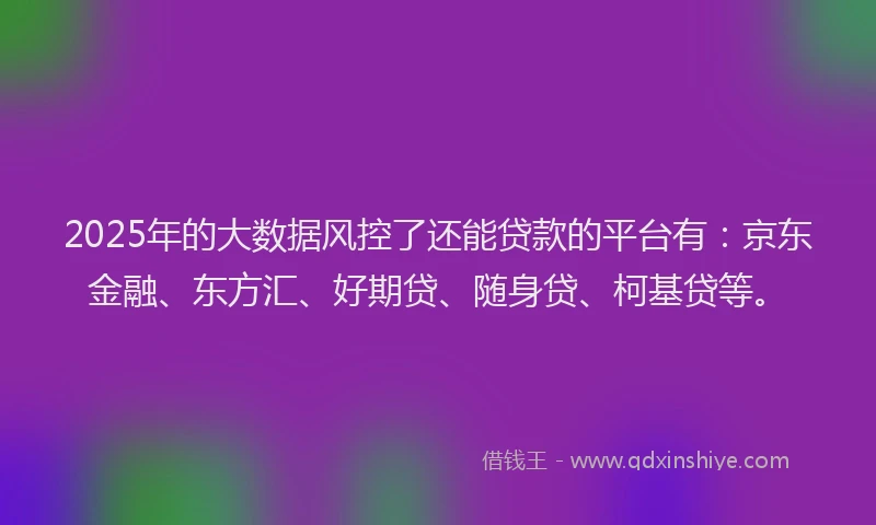 2025年的大数据风控了还能贷款的平台有：京东金融、东方汇、好期贷、随身贷、柯基贷等。