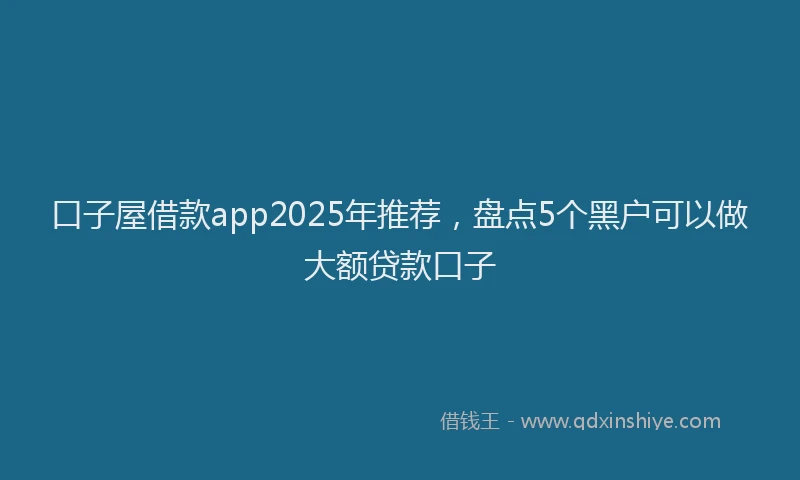 口子屋借款app2025年推荐，盘点5个黑户可以做大额贷款口子