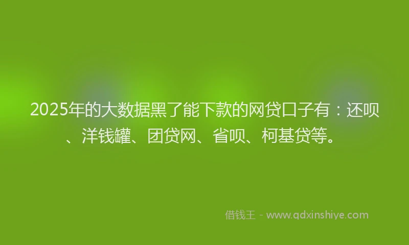 2025年的大数据黑了能下款的网贷口子有：还呗、洋钱罐、团贷网、省呗、柯基贷等。
