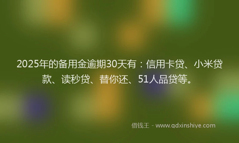 2025年的备用金逾期30天有：信用卡贷、小米贷款、读秒贷、替你还、51人品贷等。