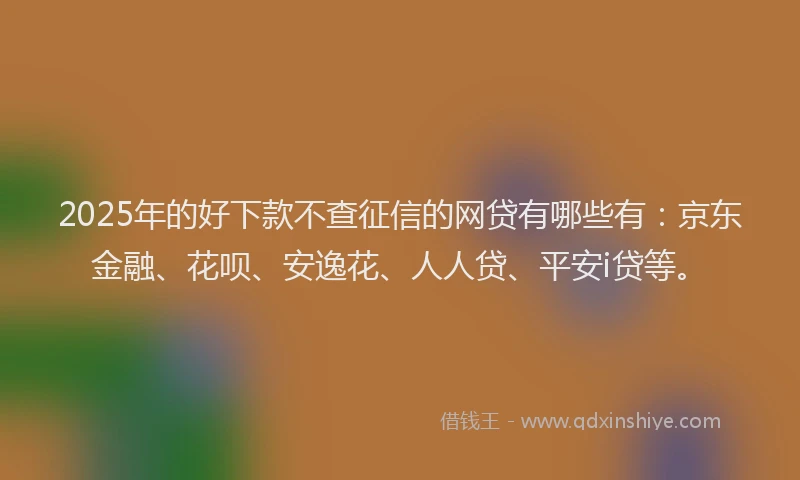 2025年的好下款不查征信的网贷有哪些有：京东金融、花呗、安逸花、人人贷、平安i贷等。