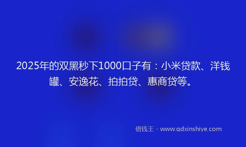 2025年的双黑秒下1000口子有：小米贷款、洋钱罐、安逸花、拍拍贷、惠商贷等。