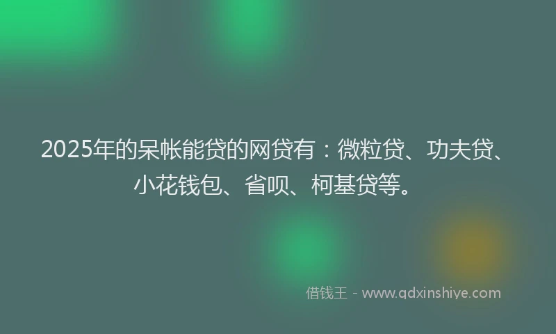 2025年的呆帐能贷的网贷有：微粒贷、功夫贷、小花钱包、省呗、柯基贷等。
