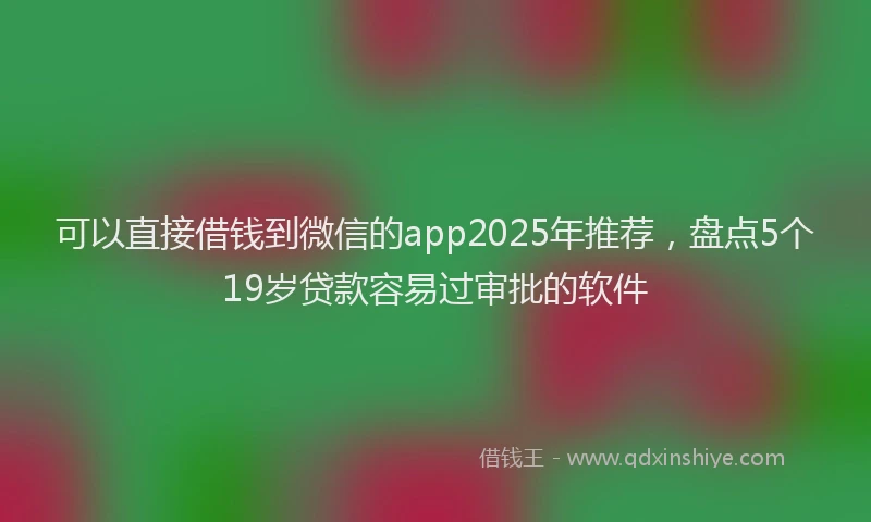可以直接借钱到微信的app2025年推荐，盘点5个19岁贷款容易过审批的软件