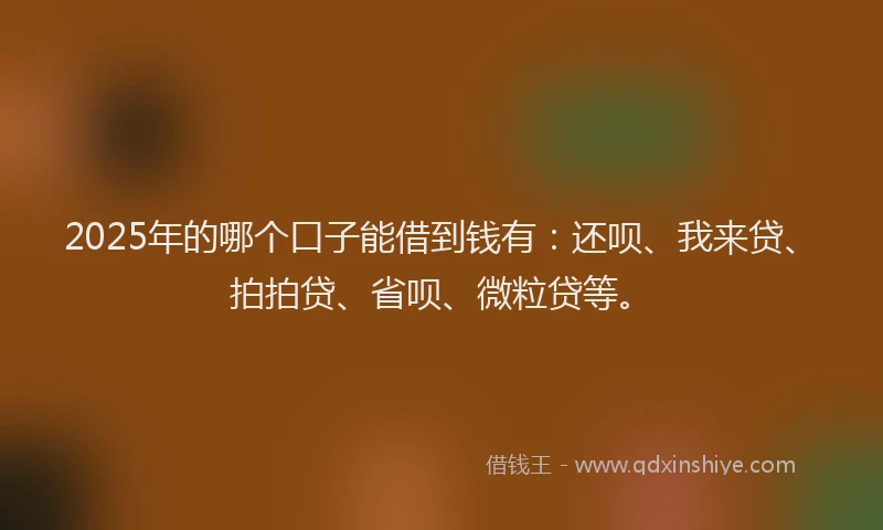 2025年的哪个口子能借到钱有：还呗、我来贷、拍拍贷、省呗、微粒贷等。