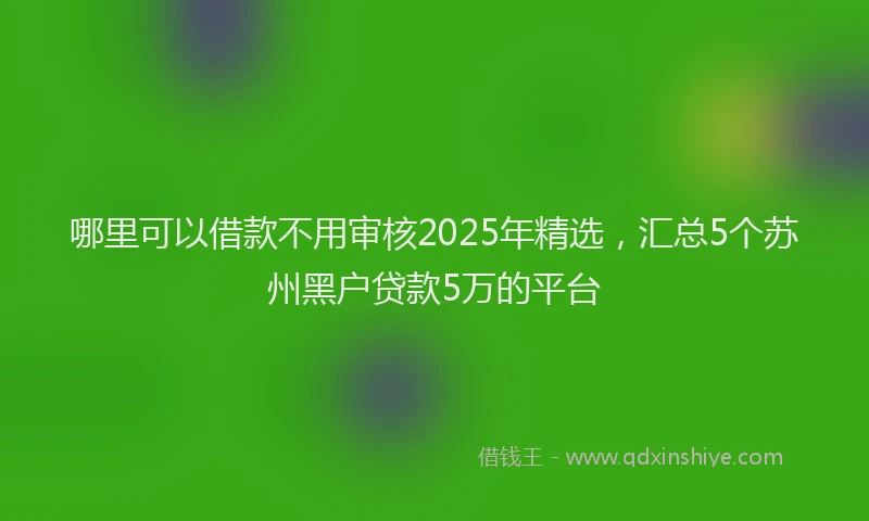 哪里可以借款不用审核2025年精选，汇总5个苏州黑户贷款5万的平台