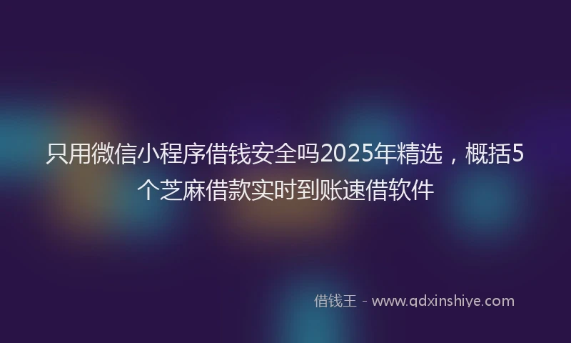 只用微信小程序借钱安全吗2025年精选，概括5个芝麻借款实时到账速借软件