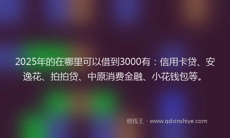 2025年的在哪里可以借到3000有：信用卡贷、安逸花、拍拍贷、中原消费金融、小花钱包等。