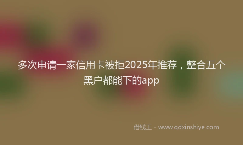 多次申请一家信用卡被拒2025年推荐，整合五个黑户都能下的app