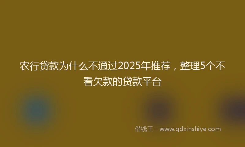 农行贷款为什么不通过2025年推荐，整理5个不看欠款的贷款平台