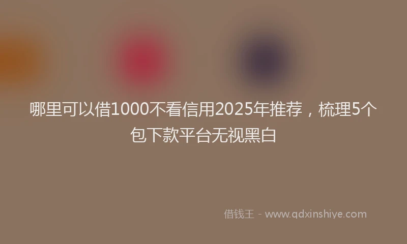 哪里可以借1000不看信用2025年推荐，梳理5个包下款平台无视黑白