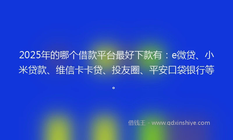 2025年的哪个借款平台最好下款有：e微贷、小米贷款、维信卡卡贷、投友圈、平安口袋银行等。