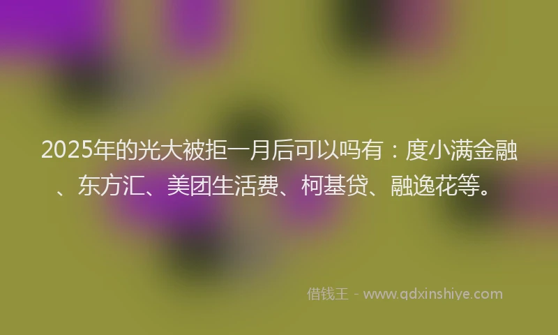 2025年的光大被拒一月后可以吗有：度小满金融、东方汇、美团生活费、柯基贷、融逸花等。