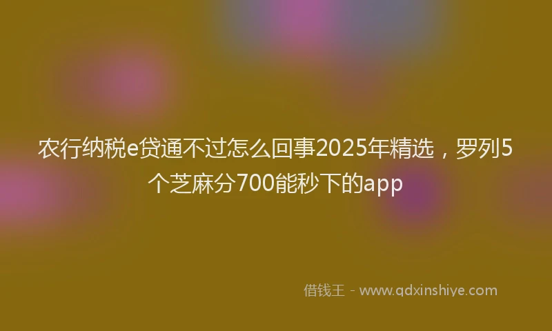 农行纳税e贷通不过怎么回事2025年精选，罗列5个芝麻分700能秒下的app