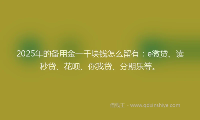 2025年的备用金一千块钱怎么留有：e微贷、读秒贷、花呗、你我贷、分期乐等。