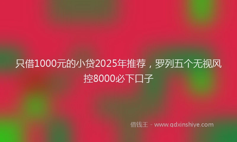 只借1000元的小贷2025年推荐，罗列五个无视风控8000必下口子