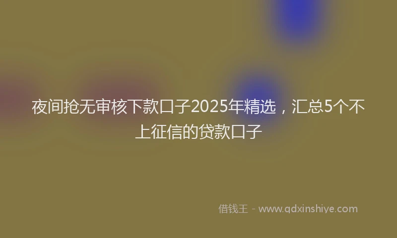 夜间抢无审核下款口子2025年精选，汇总5个不上征信的贷款口子