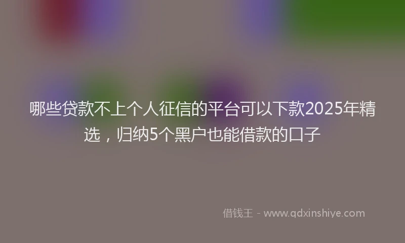 哪些贷款不上个人征信的平台可以下款2025年精选，归纳5个黑户也能借款的口子