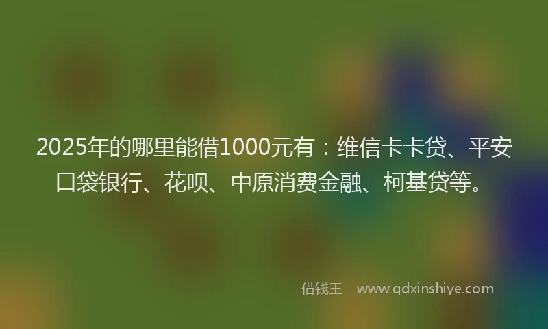 2025年的哪里能借1000元有：维信卡卡贷、平安口袋银行、花呗、中原消费金融、柯基贷等。