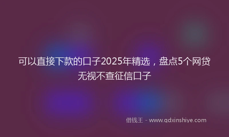 可以直接下款的口子2025年精选，盘点5个网贷无视不查征信口子