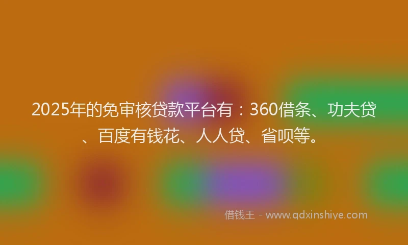2025年的免审核贷款平台有：360借条、功夫贷、百度有钱花、人人贷、省呗等。