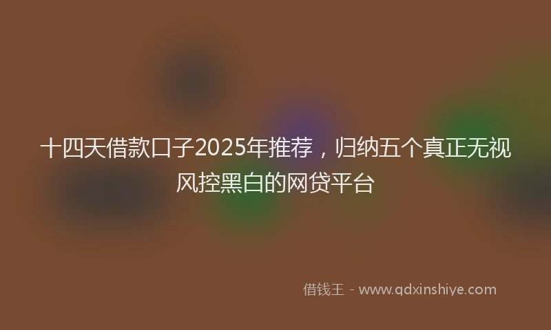 十四天借款口子2025年推荐，归纳五个真正无视风控黑白的网贷平台