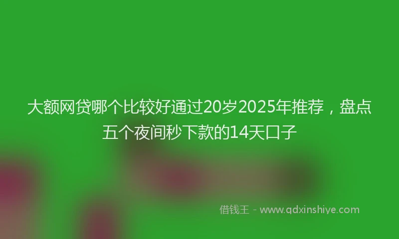 大额网贷哪个比较好通过20岁2025年推荐，盘点五个夜间秒下款的14天口子