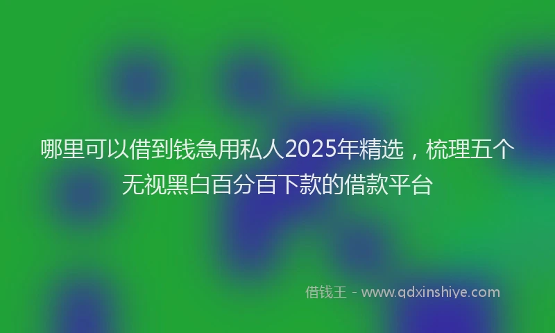 哪里可以借到钱急用私人2025年精选，梳理五个无视黑白百分百下款的借款平台