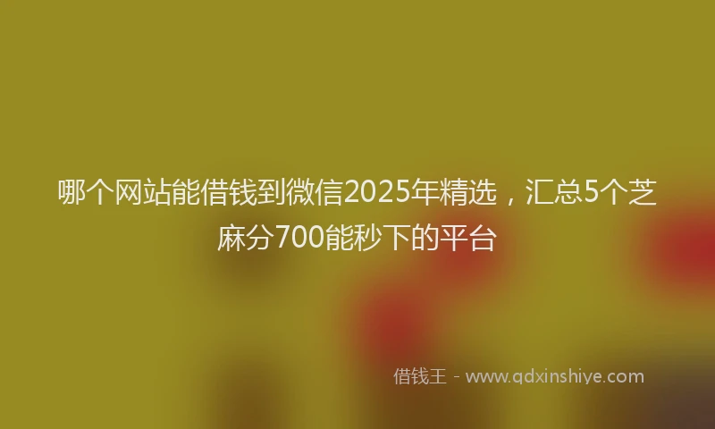 哪个网站能借钱到微信2025年精选，汇总5个芝麻分700能秒下的平台