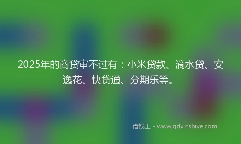 2025年的商贷审不过有：小米贷款、滴水贷、安逸花、快贷通、分期乐等。