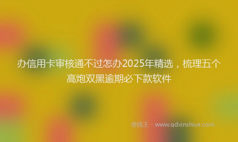 办信用卡审核通不过怎办2025年精选，梳理五个高炮双黑逾期必下款软件