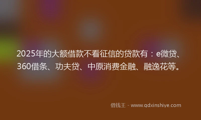 2025年的大额借款不看征信的贷款有：e微贷、360借条、功夫贷、中原消费金融、融逸花等。