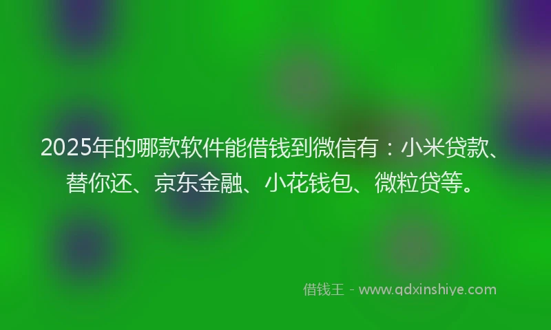 2025年的哪款软件能借钱到微信有：小米贷款、替你还、京东金融、小花钱包、微粒贷等。