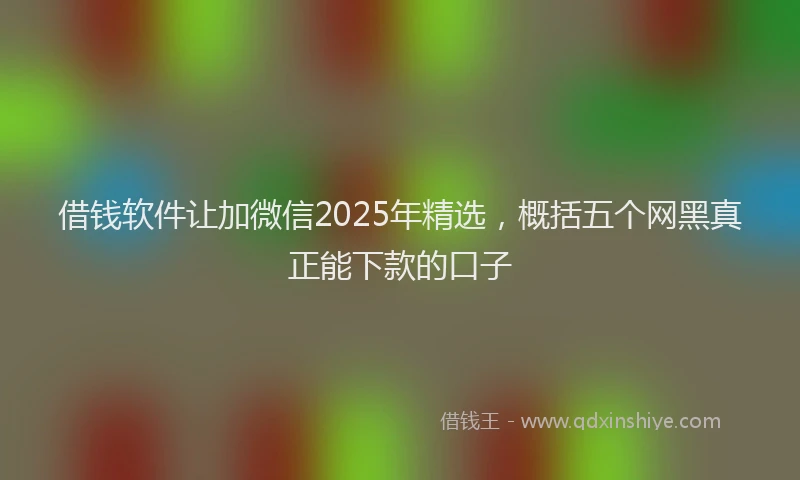 借钱软件让加微信2025年精选，概括五个网黑真正能下款的口子