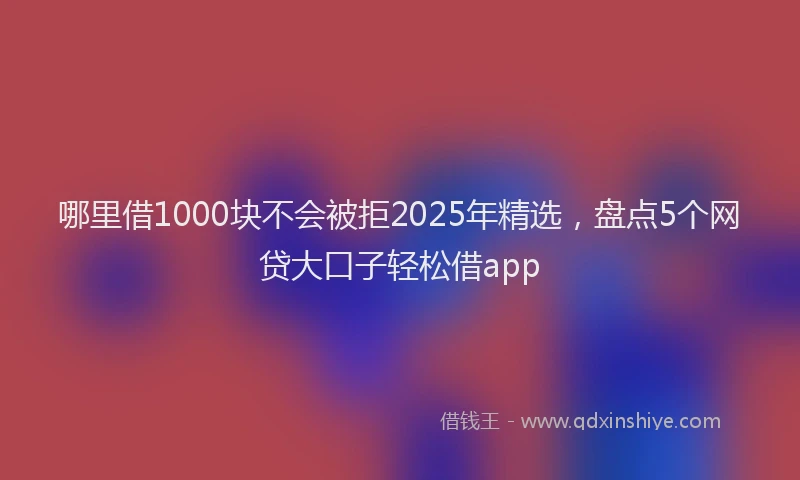 哪里借1000块不会被拒2025年精选，盘点5个网贷大口子轻松借app