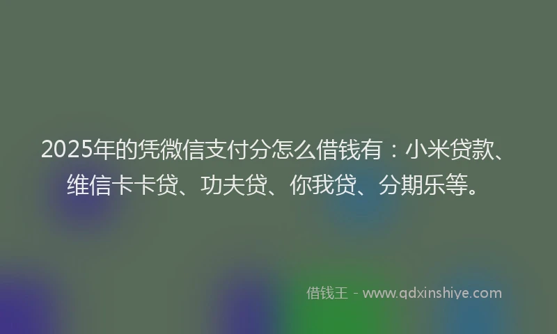 2025年的凭微信支付分怎么借钱有：小米贷款、维信卡卡贷、功夫贷、你我贷、分期乐等。