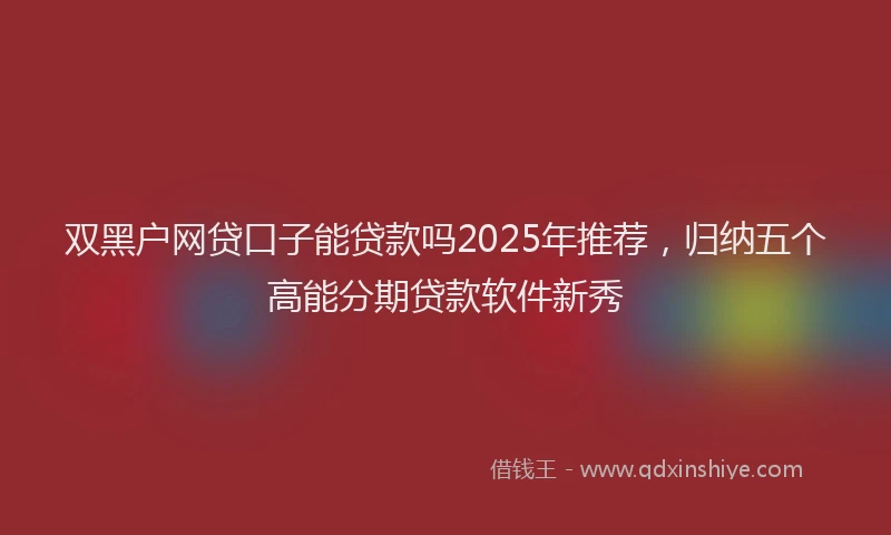 双黑户网贷口子能贷款吗2025年推荐，归纳五个高能分期贷款软件新秀