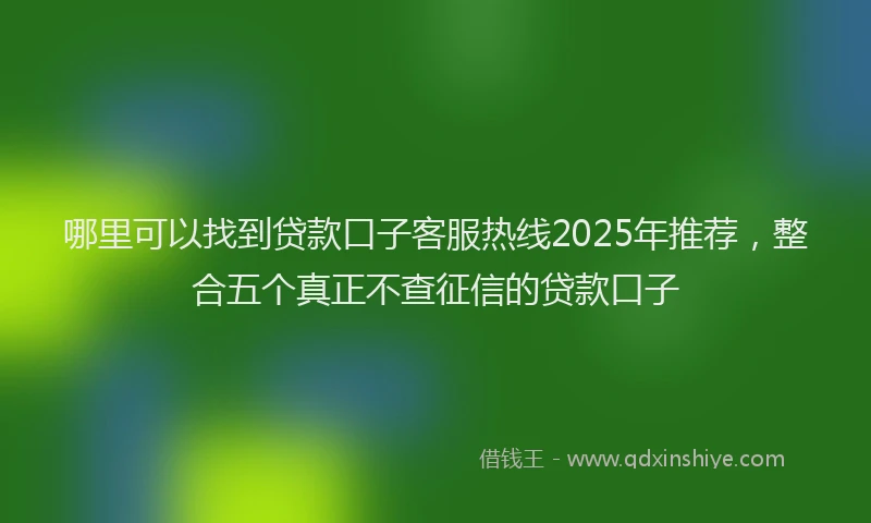 哪里可以找到贷款口子客服热线2025年推荐，整合五个真正不查征信的贷款口子