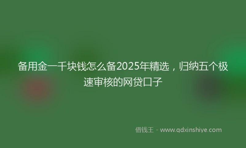备用金一千块钱怎么备2025年精选，归纳五个极速审核的网贷口子