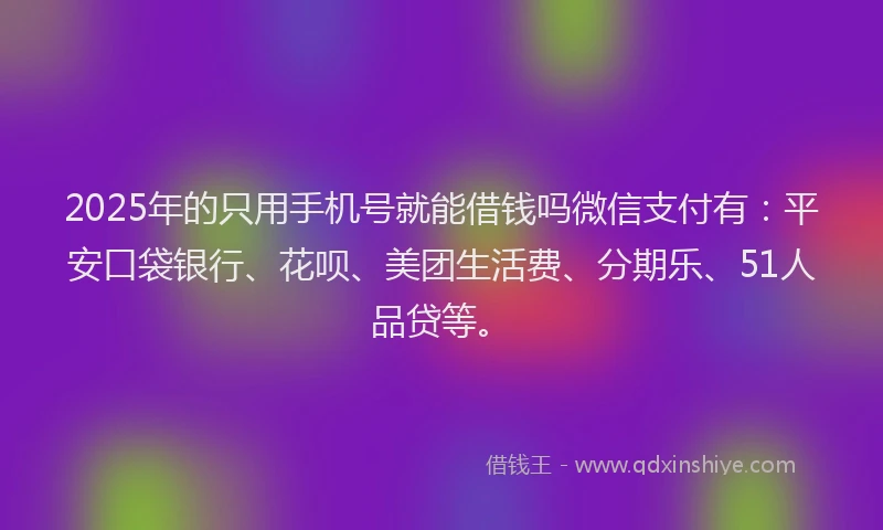 2025年的只用手机号就能借钱吗微信支付有：平安口袋银行、花呗、美团生活费、分期乐、51人品贷等。