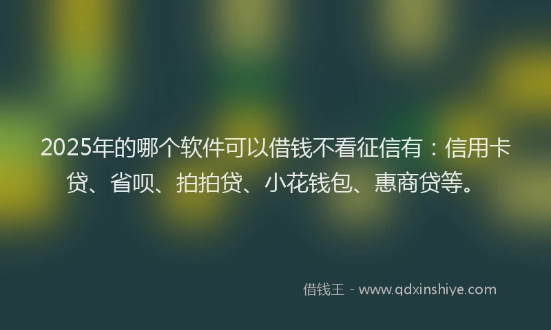 2025年的哪个软件可以借钱不看征信有：信用卡贷、省呗、拍拍贷、小花钱包、惠商贷等。