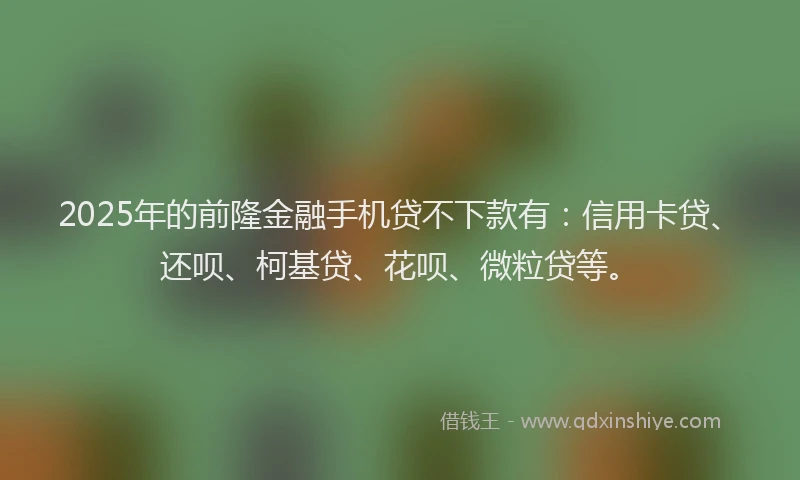 2025年的前隆金融手机贷不下款有：信用卡贷、还呗、柯基贷、花呗、微粒贷等。