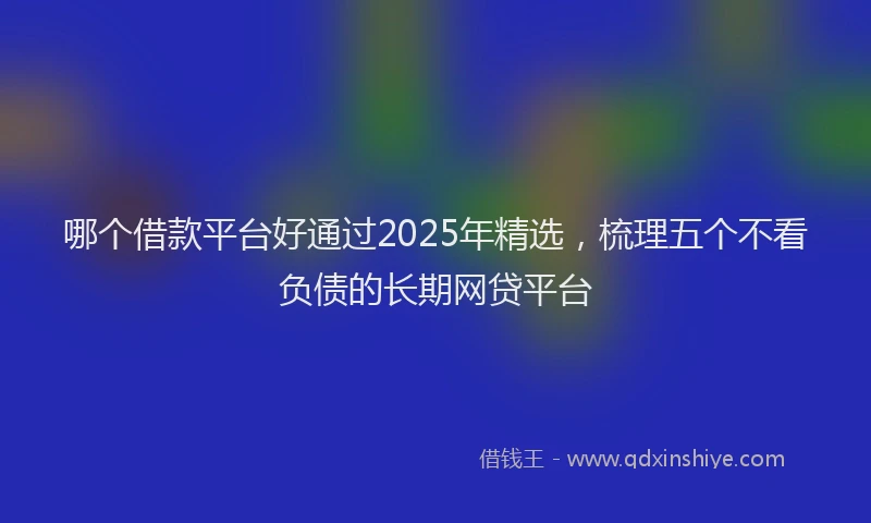 哪个借款平台好通过2025年精选，梳理五个不看负债的长期网贷平台