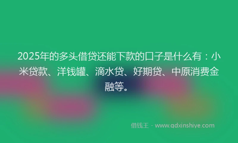 2025年的多头借贷还能下款的口子是什么有：小米贷款、洋钱罐、滴水贷、好期贷、中原消费金融等。